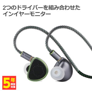 カナル型 有線イヤホン RAPTGO ラプトゴー HOOK-X フック エックス リケーブル対応 平面駆動ドライバー搭載 開放型 オープンエアー通販