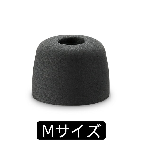 【〜7/11 01:59★抽選で最大100%ポイント還元！(要エントリー)】WF-1000XM5付属イヤーピース SONY ソニー EP-NI1010M (1ペア) イヤーピース イヤーチップ イヤピ