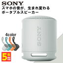 【5/10限定★抽選で最大100%ポイントバック！(要エントリー)】【小型ワイヤレススピーカー】SONY ソニー SRS-XB100 HC ライトグレー Bluetooth ブルートゥース スマホ対応 小型 持ち運び 低音【送料無料】【16時までの注文で即日出荷】