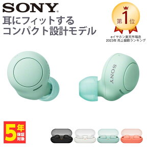 【4/25限定★抽選で最大100%ポイントバック！(要エントリー)】SONY ソニー 完全ワイヤレスイヤホン WF-C500 GZ アイスグリーン Bluetoothイヤホン ブルートゥース イヤホンワイヤレス カナル型 防水 低遅延 通話 マイク付き コンパクト 小型軽量 小さい かわいい WFC500GZ