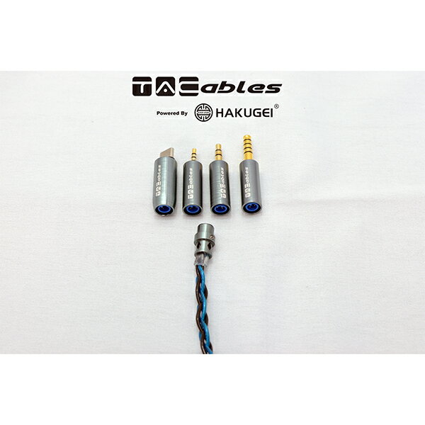 TACable powered by HAKUGEI Moonstone MMCX �ꥱ���֥� ����ۥ󥱡��֥� �Х����³ ����Х����³ Type-C��³������̵����
