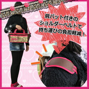 絵の具セット ラブリープリンセス 【あす楽】【送料無料】