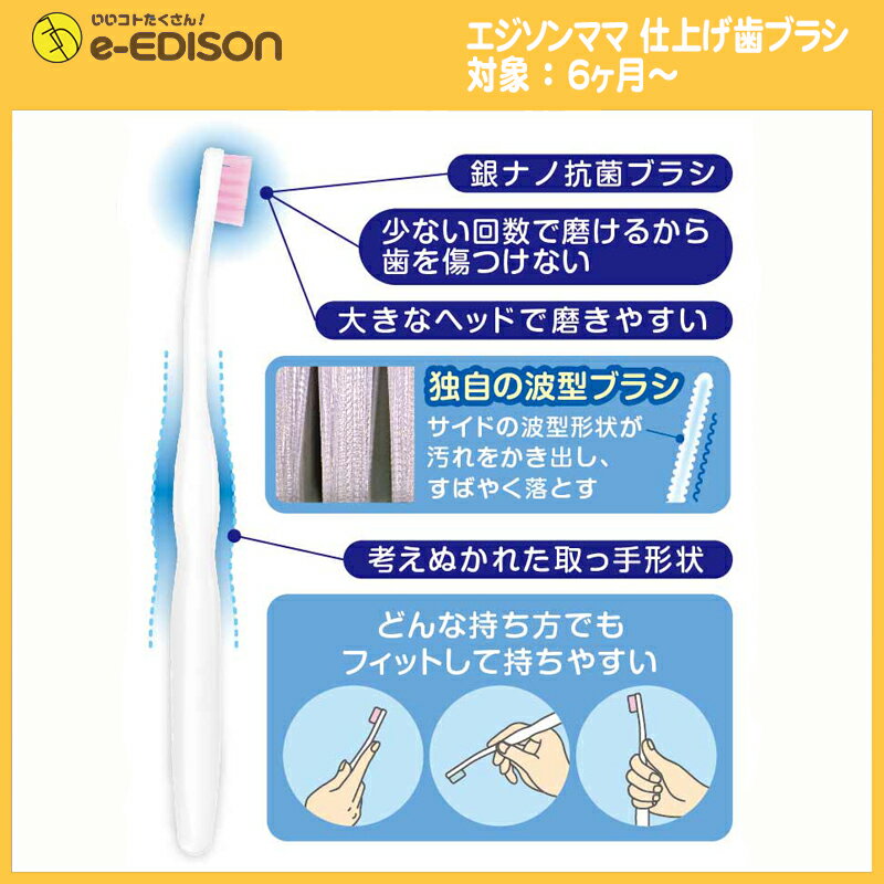 【送料無料】EDISON Mama 仕上げ歯ブラシ(2本入り) 乳歯ケア 6ヶ月ごろから対象(歯の生え始めから) 3