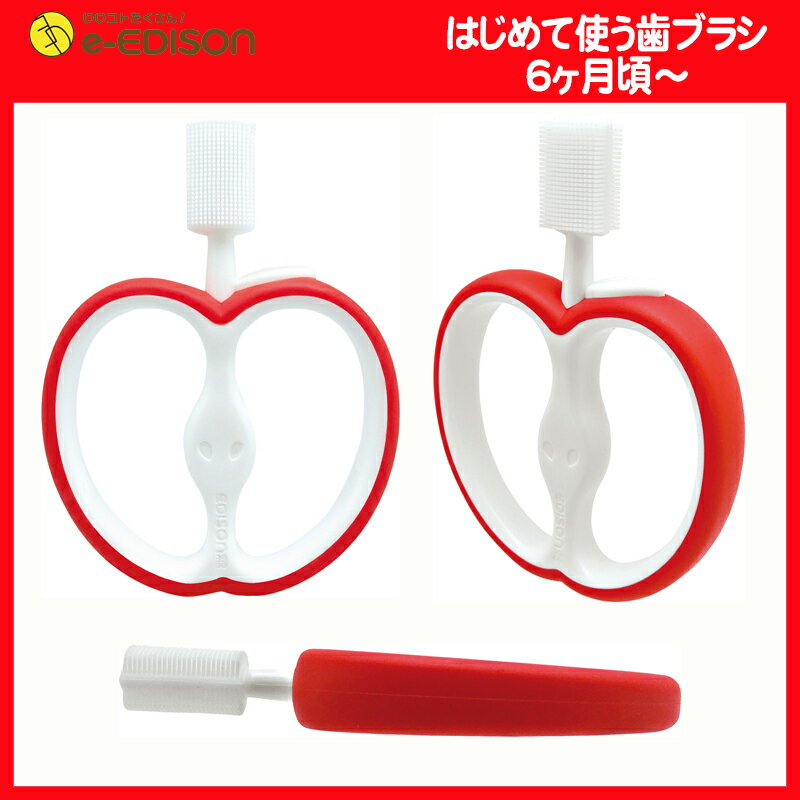 楽天市場】【送料無料】エジソンママ EDISON Mama はじめて使う歯ブラシ りんご 歯の生え始めからひとり歯ブラシ練習まで使える(イーエジソン) | みんなのレビュー・口コミ 楽天市場】【送料無料】エジソンママ EDISON Mama はじめて使う歯ブラシ りんご 歯の生え始めからひとり歯ブラシ練習まで使える(イーエジソン) | みんなのレビュー・口コミ