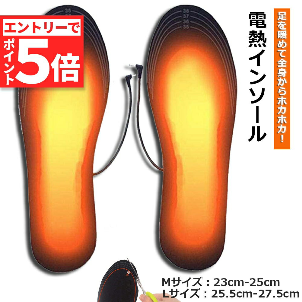 楽天市場】インソール usbの通販