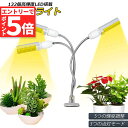★エントリーでP5倍 お買い物マラソン★植物育成ライト LED植物育成灯 ledライト 育苗ライト 132個LED E27電球仕様 多肉植物育成 室内栽培ライト...