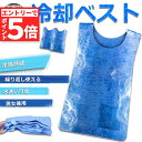 ★エントリーでP5倍 お買い物マラソン★冷却ベスト 水冷 クールベスト 2枚セット 冷感ベスト 空調服 物理冷却 熱中症 猛暑対策 冷却服 ひんやりグッズ 保冷 工事現場 工場内 屋外 スポーツ 冷感 涼しい 保冷服 農業 屋外
