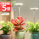 ★エントリーでP5倍 お買い物マラソン★LED植物育成ライト 植物育成ライト 鉢植えに差し込む 4段階調光 LED 植物ライト 植物育成ランプ 観葉植物用ライト...