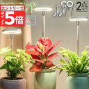 ★エントリーでP5倍 お買い物マラソン★LED植物育成ライト 植物育成ライト 鉢植えに差し込む 2点セット 4段階調光 LED 植物ライト 植物育成ランプ 観葉...