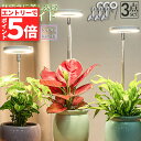 ★エントリーでP5倍 お買い物マラソン★LED植物育成ライト 植物育成ライト 鉢植えに差し込む 3点セット 4段階調光 LED 植物ライト 植物育成ランプ 観葉...
