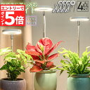★エントリーでP5倍 お買い物マラソン★LED植物育成ライト 植物育成ライト 鉢植えに差し込む 4点セット 4段階調光 LED 植物ライト 植物育成ランプ 観葉...