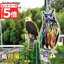 ★エントリーでP5倍 お買い物マラソン★鳥よけ 鳥よけフクロウ 鳥よけテープ 反射板 鳥よけグッズ 鳥対策 防鳥対策 鳥被害 鳥撃退 鳥の糞 カラス撃退 鳩撃退...
