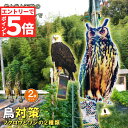 ★エントリーでP5倍 お買い物マラソン★鳥よけ 鳥よけフクロウ 鳥よけテープ 2個セット 反射板 鳥よけグッズ 鳥対策 防鳥対策 鳥被害 鳥撃退 鳥の糞 カラス...