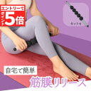 \エントリーでP5倍 お買い物マラソン/筋膜リリース コロコロ スティック 棒 筋膜 筋肉ほぐし ローラー 腕 背中 ストレッチ 自律神経 お尻 太もも 美容 ボディケア エクササイズ セルライト 除去 きんまく 筋膜ローラー 肩(4)