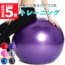 ★P5倍 マラソン★バランスボール ヨガボール ヨガ 椅子 直径55c...(4)