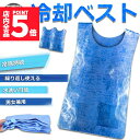 ★期間限定ポイント5倍★冷却ベスト 水冷 クールベスト 2枚セット 冷感ベスト 空調服 物理冷却 熱中症 猛暑対策 冷却服 ひんやりグッズ 保冷 工事現場 工場...
