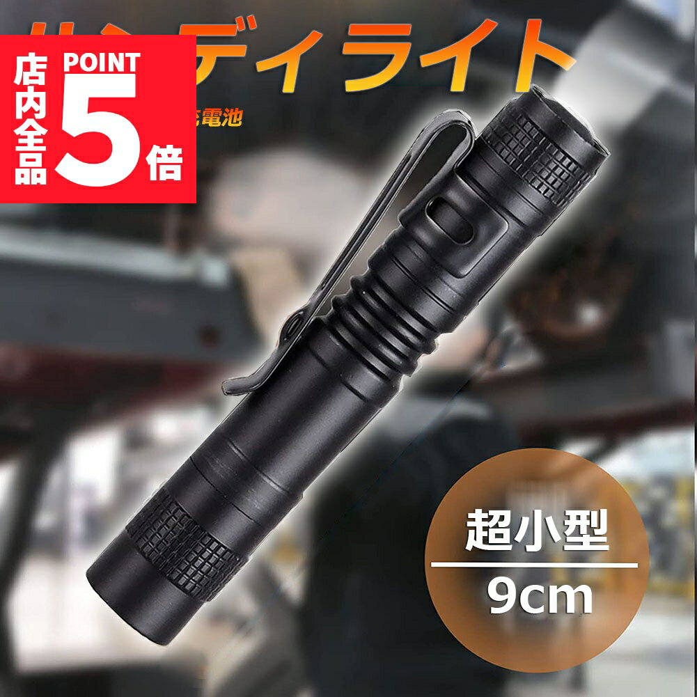 IU ペンライト 単4電池 新品未開封 2点 imgrc0129276026.jpg