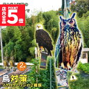 ★P5倍 マラソンセール★鳥よけ 鳥よけフクロウ 鳥よけテープ 2個セット 反射板 鳥よけグッズ 鳥対策 防鳥対策 鳥被害 鳥撃退 鳥の糞 カラス撃退 鳩撃退グ...