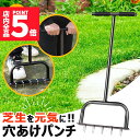 ★P5倍 スーパーセール★芝生 穴あけ エアレーション 10本釘 ローンスパイク ローンパンチ 芝生スパイク 芝スパイク ガーデンスパイク 穴開け 根切り 庭 ガーデニング スパイク 穴 穴あけ器 穴あけ機 穴開け器 穴開け機 お手入れ 土