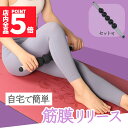 筋膜リリース コロコロ スティック 棒 筋膜 筋肉ほぐし ローラー 腕 背中 ストレッチ 自律神経 お尻 太もも 美容 ボディケア エクササイズ セルライト 除去 きんまく 筋膜ローラー 肩こり ほぐし 首 肩 腰 足 ふくらはぎ リンパ むくみ 解消 ジム ピラティス(4)