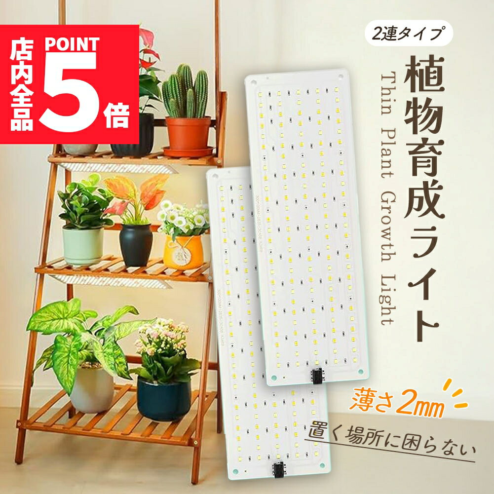 E-Finds ŷԾŹ㤨ָ֡ݥ5ܡLEDʪ饤 ʪ饤 2Ϣ 2  ľ  ѥͥ 5ʳĴ LED ʪ饤 ʪ տʪѥ饤 ݥ ǽ ޡ ⵱ ĥ饤 տʪ ¿ʪפβǤʤ1,580ߤˤʤޤ