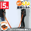 ★P5倍 マラソンセール★運搬ベルト 2本1組 引越し 引っ越し 作業用 運搬用 引っ越し用 キャリーベルト 重い荷物 家具 大型家電 電化製品 冷蔵庫 洗濯機 テレビ タンス 食器棚 ソファー 階段