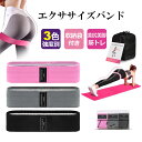 エクササイズバンド 強度別3本セット トレーニングチューブ トレーニン...(4)