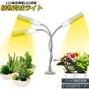 植物育成ライト LED植物育成灯 ledライト 育苗ライト 132個LED E27電球仕様 多肉植物育成 室内栽培ライト 家庭菜園 室内園芸 水耕栽培ランプUSB クリップ式 低消耗電力省エネ 3灯 360°調節可能 室内栽培ランプ タイミング定時機能