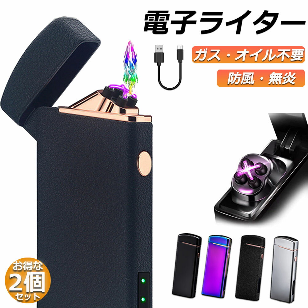 楽天E-Finds 楽天市場店電子ライター プラズマ ライター usb ライター 2個セット 小型 充電式 ガスオイル不要 防風 軽量 薄型 点火用 プレゼント 電子ターボライター 防風 アーク スリム アウトドア バーベキューお墓参り 防災グッズ 送料無料