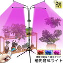 植物育成ライト LED植物育成灯 観葉植物 4ヘッド式ライト 2個セット 5v 10段階調光 自動ON/OFF 室内/水耕栽培ランプ タイマー付き 4灯360°...