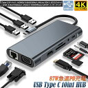 USB Type-C ハブ HDMI VGA USB3.0 HUB アダプタ 10in1 87W PD出力対応 4K対応 ディスプレイ 2台出力可能 10ポート ドッキングステーション タイプc ハブ Mac Air MacBook Pro 13 15 Thunderbolt 3 ChromeBook など対応 usb-c hub(2)