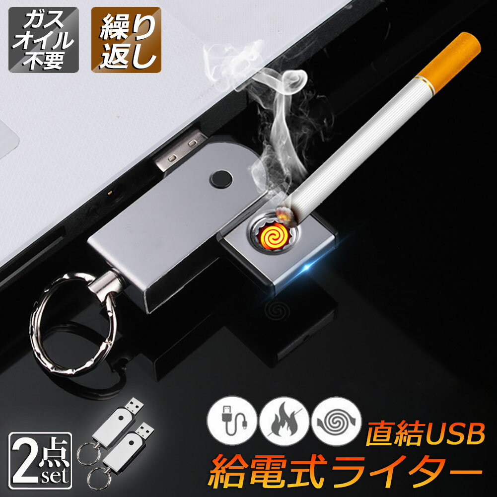USBライター 電子ライター 給電式ライター 2個セット 小型 ガスオイル不要 繰り返し使用 軽量持ち運び便利 防風 軽量 薄型 点火用 プレゼント 防風 防災グッズ
