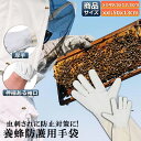 e-finds-ada:10008206のサンプル画像2