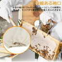 e-finds-ada:10008206のサンプル画像3