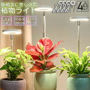 LED植物育成ライト 植物育成ライト 鉢植えに差し込む 4点セット 4段階調光 LED 植物ライト 植物育成ランプ 観葉植物用ライト 室内栽培ランプ 自動オン/...