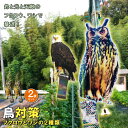 鳥よけ 鳥よけフクロウ 鳥よけテープ 2個セット 反射板 鳥よけグッズ 鳥対策 防鳥対策 鳥被害 鳥撃退 鳥の糞 カラス撃退 鳩撃退グッズ 鈴付き ゴミ置き場 畑 ベランダ 家庭菜園 駐車場