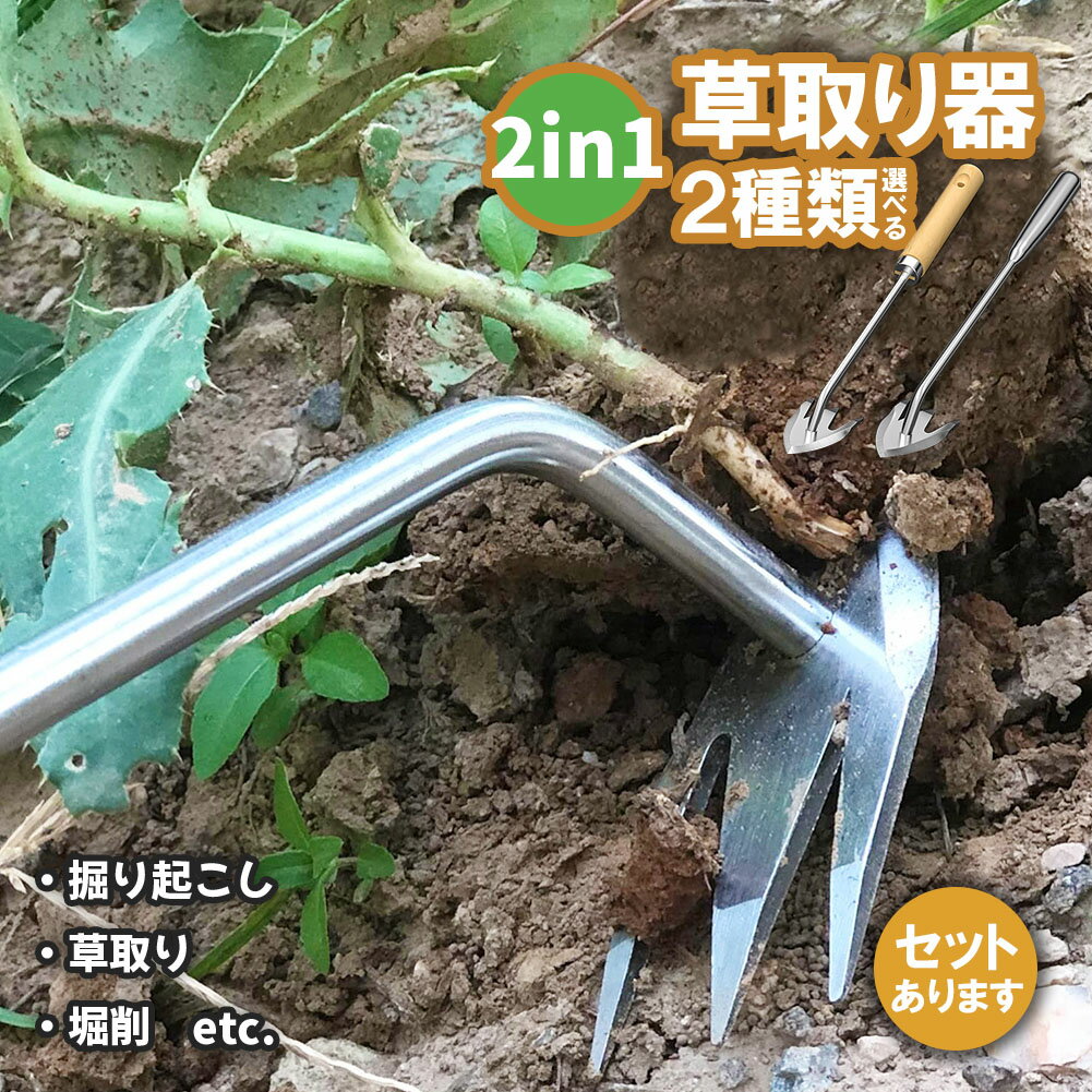   ƻ ƥ쥹 ȴ 2 𴢤 ġ ꥰå  𹩶  ǥ˥ ...