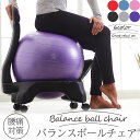 ヨガボールチェア バランスボール ヨガボール ヨガ 椅子 直径55cm...(4)