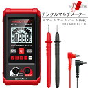 e-finds-ada:10008934のサンプル画像2