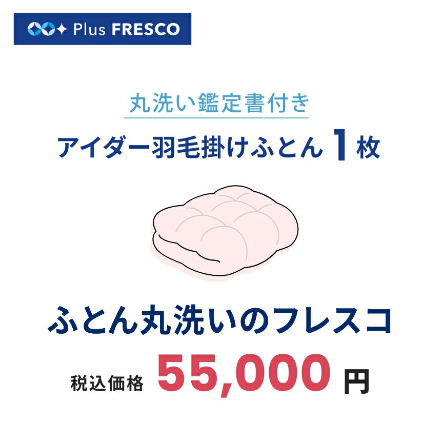 【プラスフレスコ】【アイダー羽毛ふとん丸洗い】アイダー羽毛布団 クリーニング 1枚 送料無料 フレスコ ふとん丸洗い 布団クリーニング