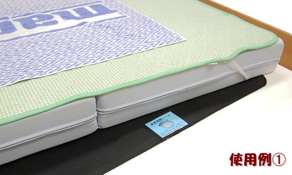 ��Ĺú������������ȡ��ʥ��֥륵������