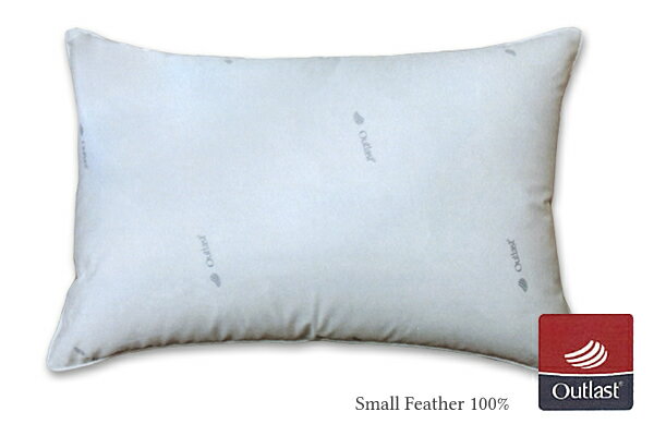 FEATHER PILLOW 羽根枕 アウトラスト・プレーンスリーパー ／L(50×70)