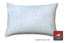 FEATHER PILLOW 羽根枕 アウトラスト・プレーンスリーパー /M(43×63)(3)