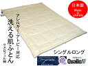 ダクロンFRESH 7-hole中わた肌ふとん シングル