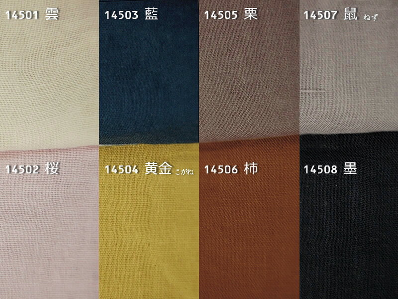 e-�դȤ󲰤���� ��������3���եȥ�ץ륬�������ܥå��������� ���磻�ɥ��֥�