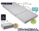 眠Re-lax敷ふとん Coco de Neru DX9 ダブルサイズ