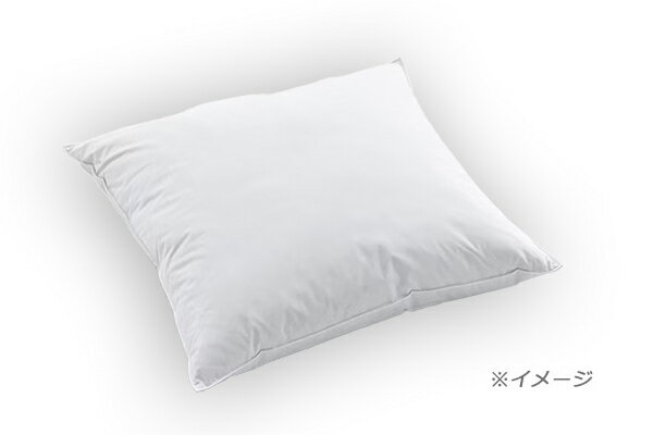 ������P2�� 4/17 9:59����Soft Down pillow 80X80cm �����������֥��եȥ�����ԥ�����