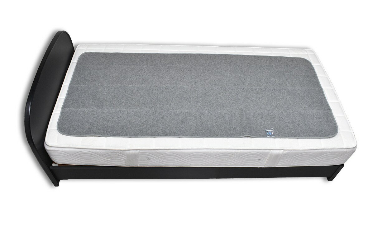 ��������������ȡʥ��졼�ˡ����󥰥��� 80��180cm