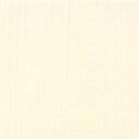 油絵具/パーマネントホワイト (DU460) 10号 ホルベイン油絵具【デュオ】