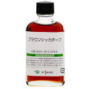 ブラウンシッカチーフ (013) 55ml ビン入 クサカベ画用液
